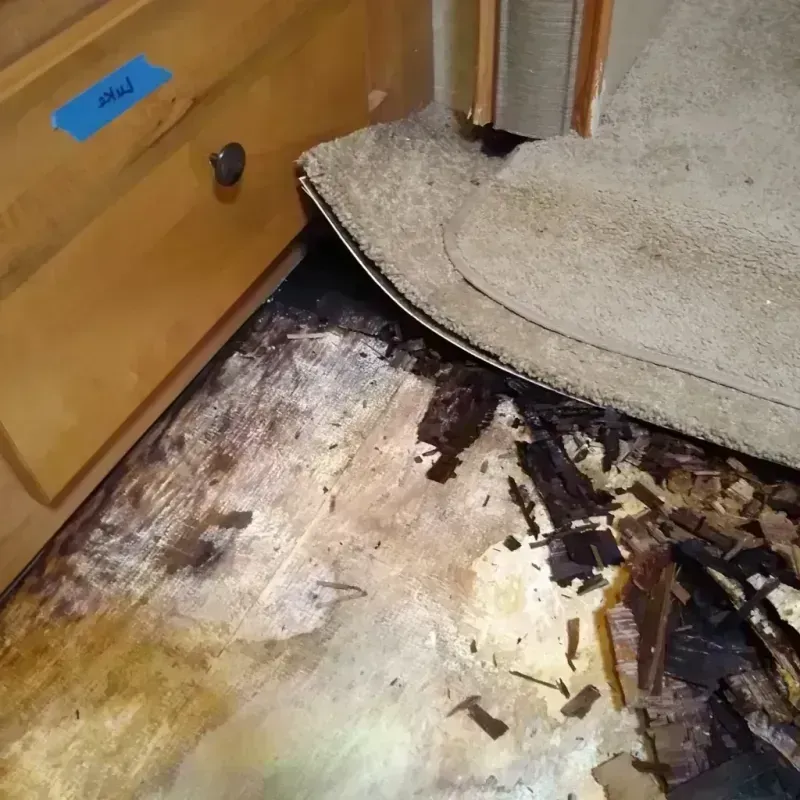 Wood Floor Water Damage in New Smyrna Beach, FL